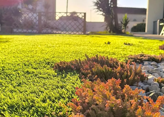 A Praia- My Own Paradise T1 Figueira da Foz